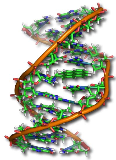 DNA