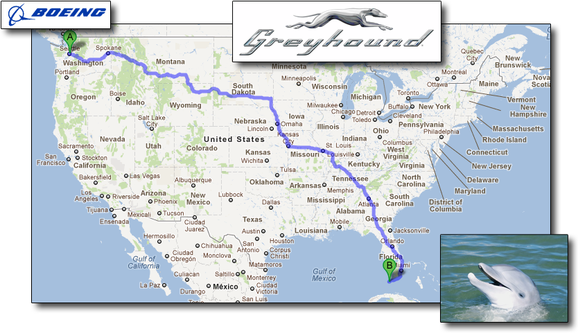 Greyhound Trip to Dolphin Research Center.