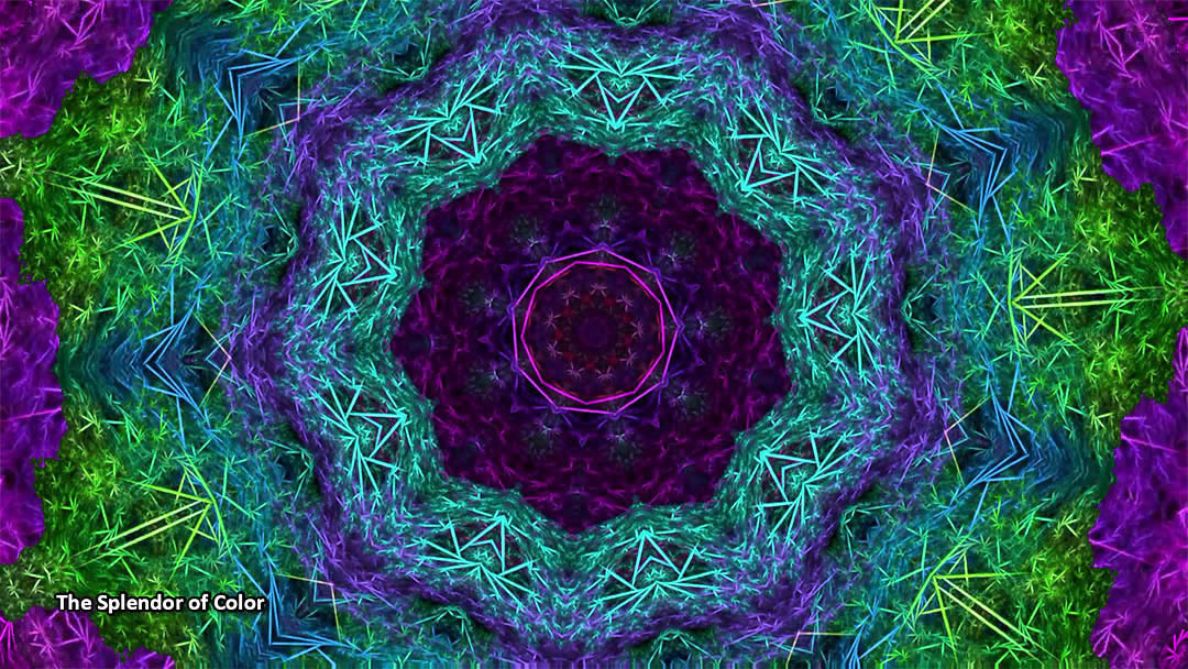 The Splendor of Color: A Kaleidoscope Video